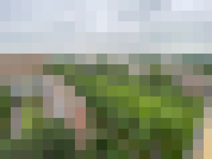 Image 23