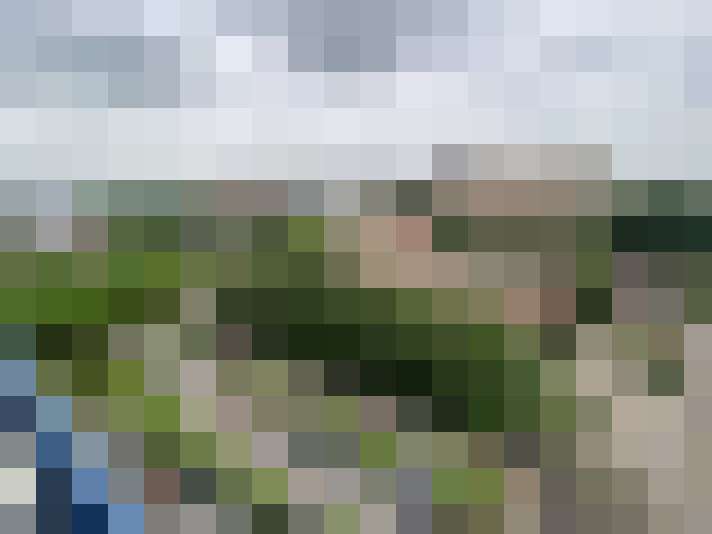 Image 27