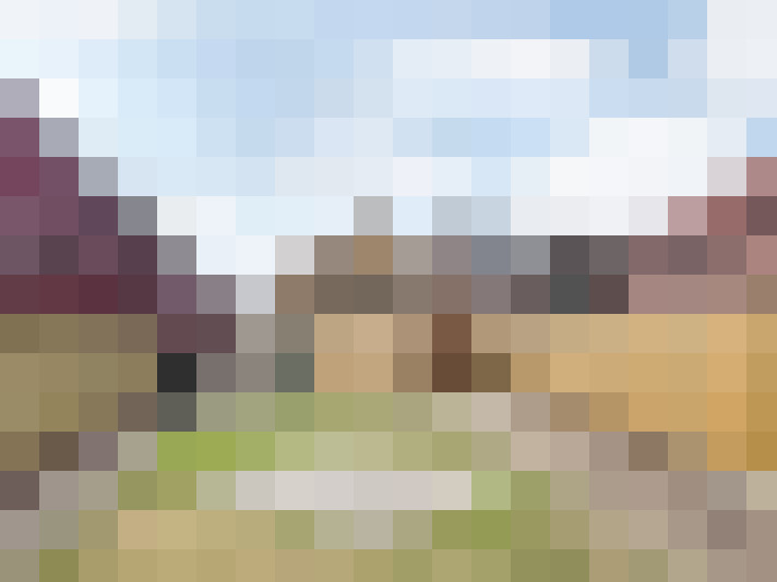 Image 17