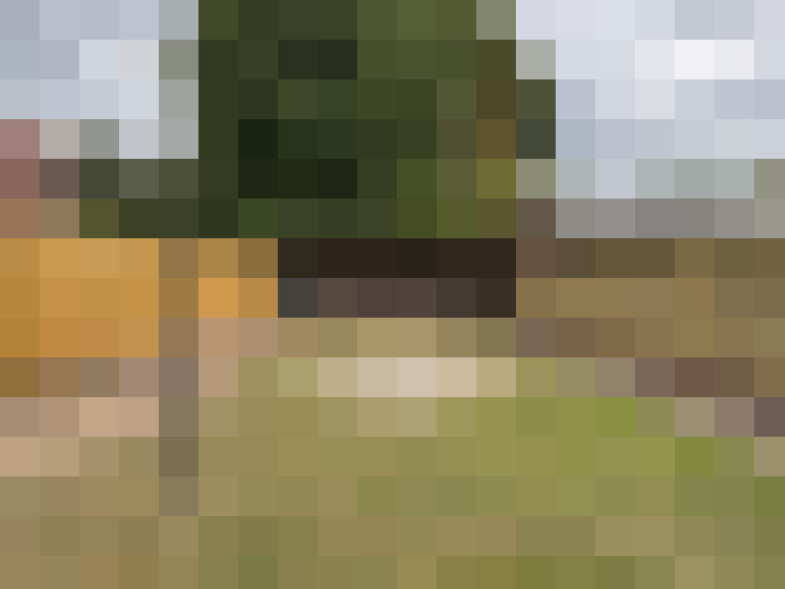 Image 16
