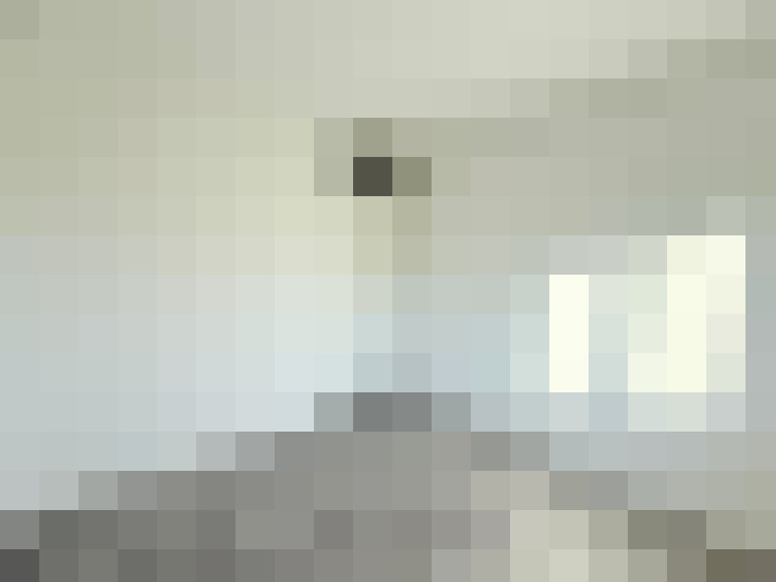 Image 36