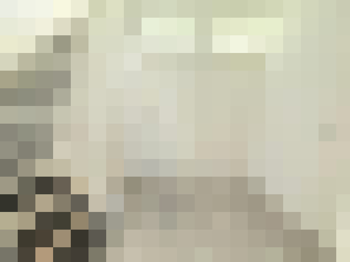 Image 31
