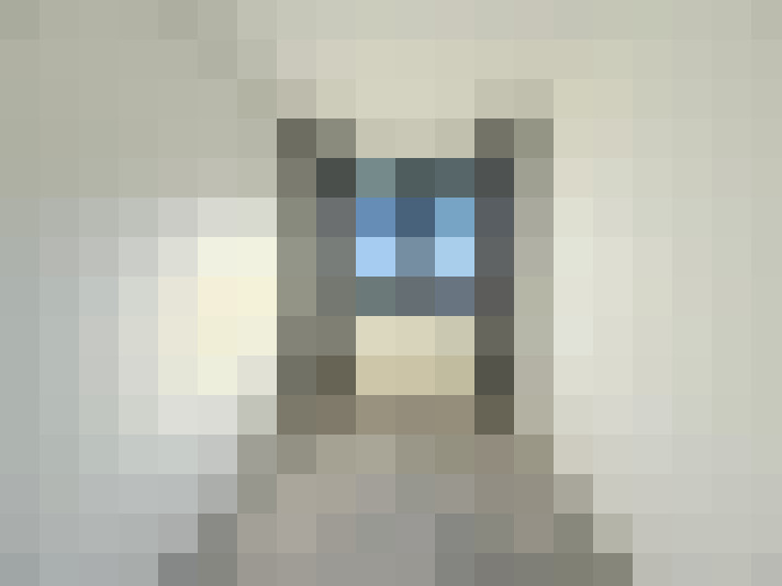 Image 40