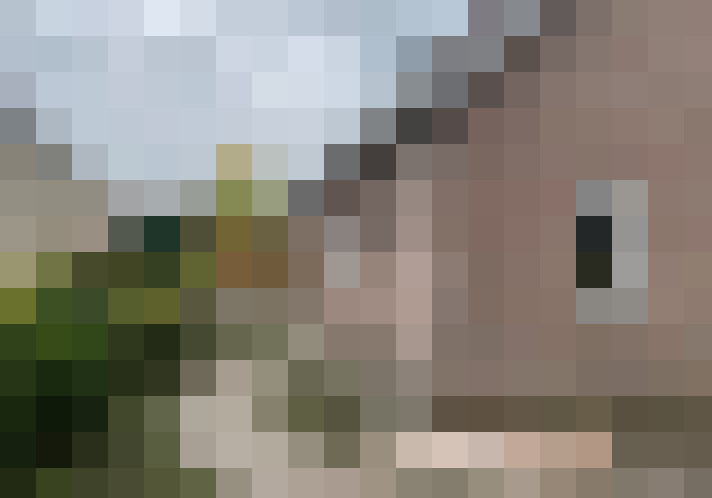 Image 29
