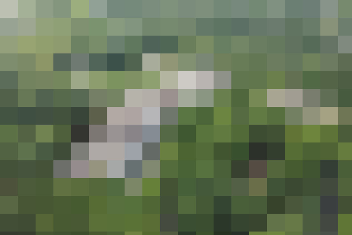 Image 16