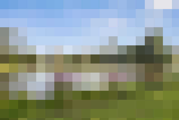 Image 22