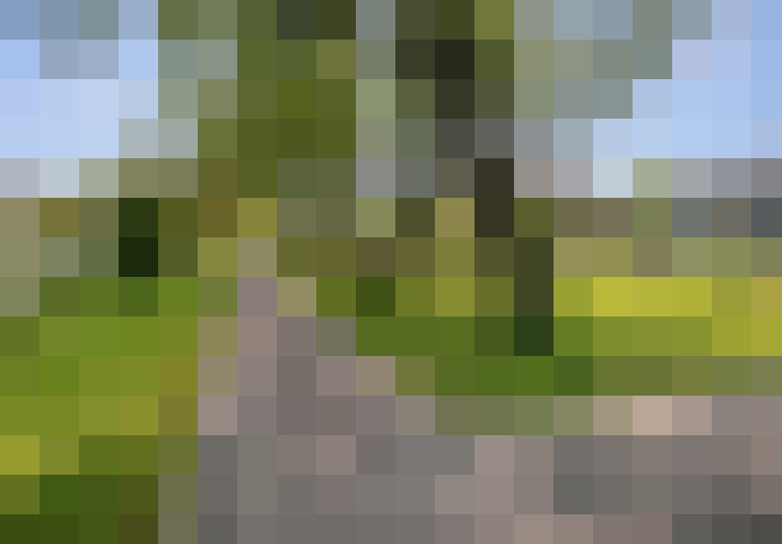 Image 24