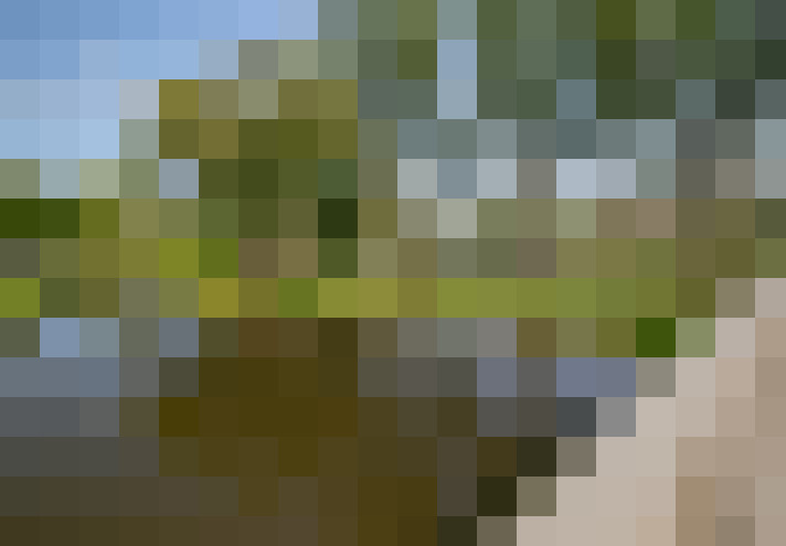 Image 20