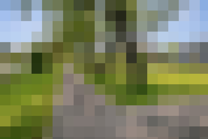 Image 23