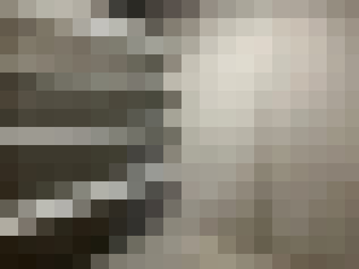 Image 16