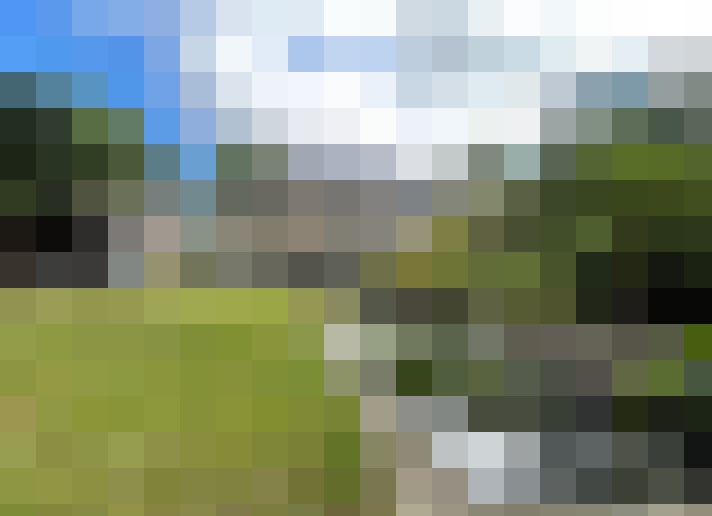 Image 23