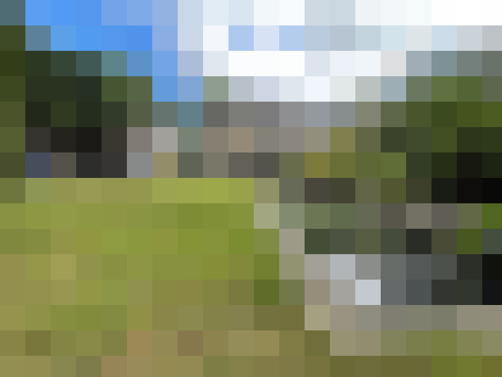 Image 26