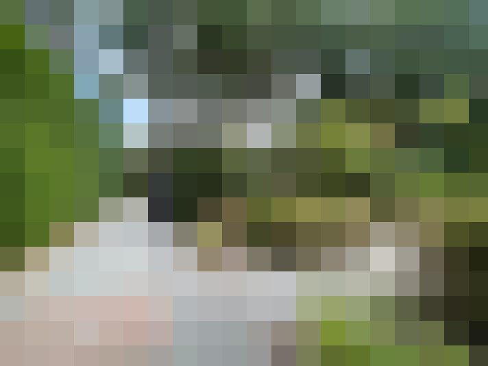 Image 27