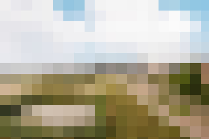Image 32