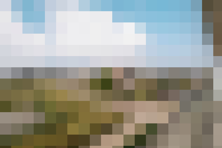 Image 31