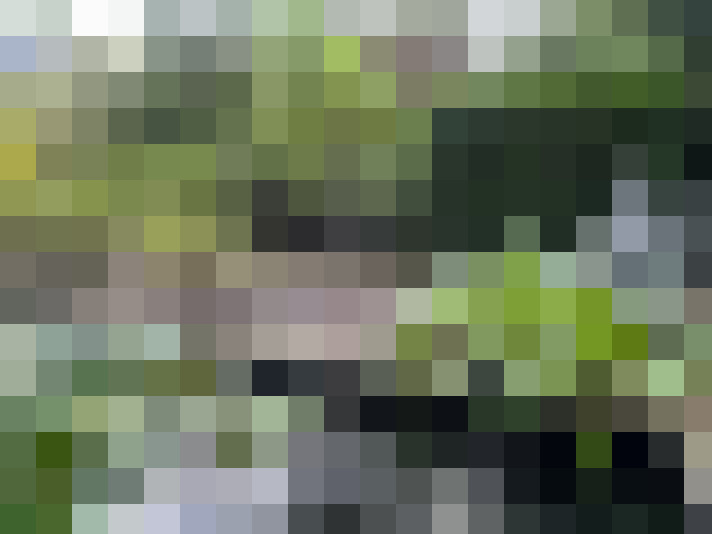 Image 23