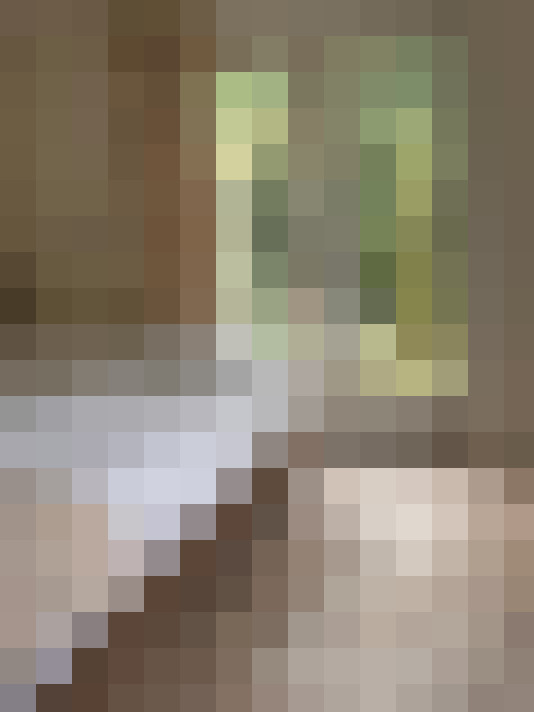Image 17