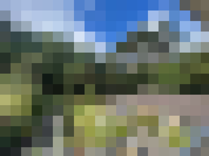 Image 21