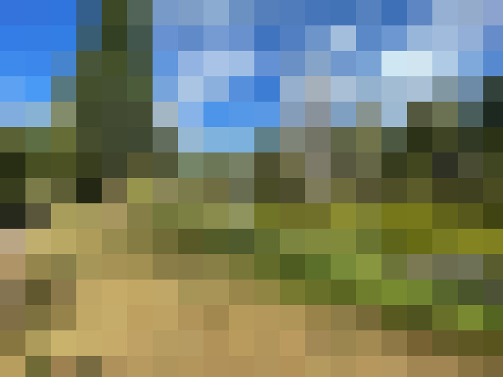 Image 30