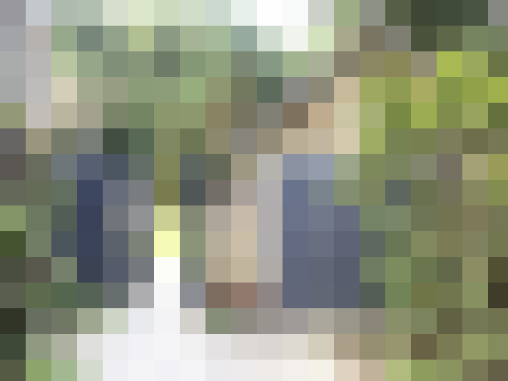 Image 24