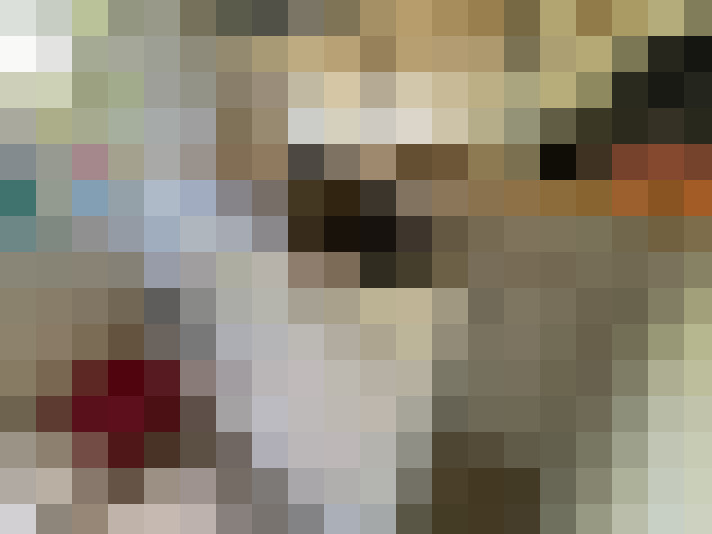 Image 20