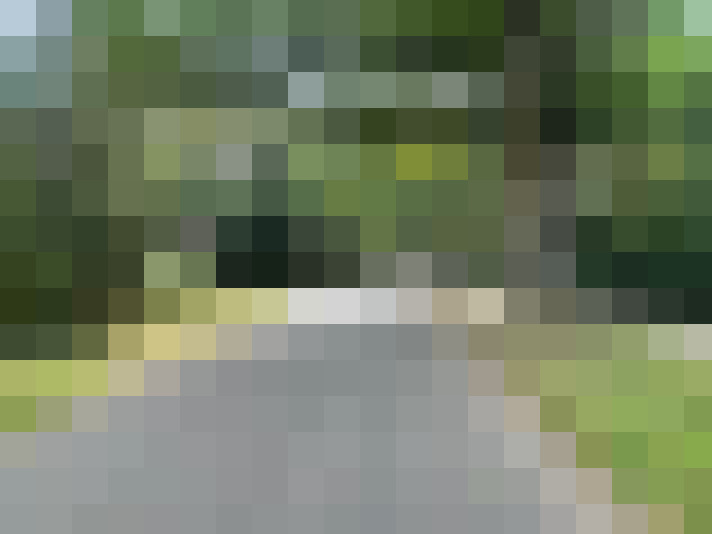 Image 28