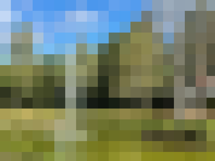 Image 29