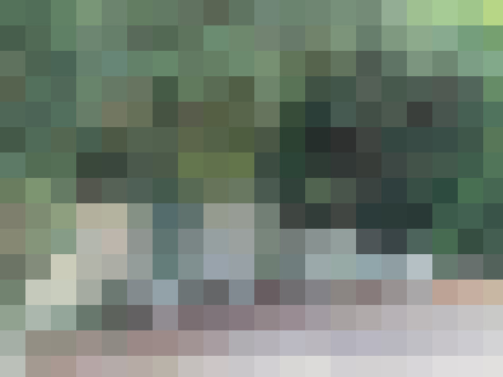 Image 26