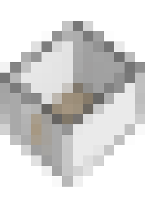 Image 45