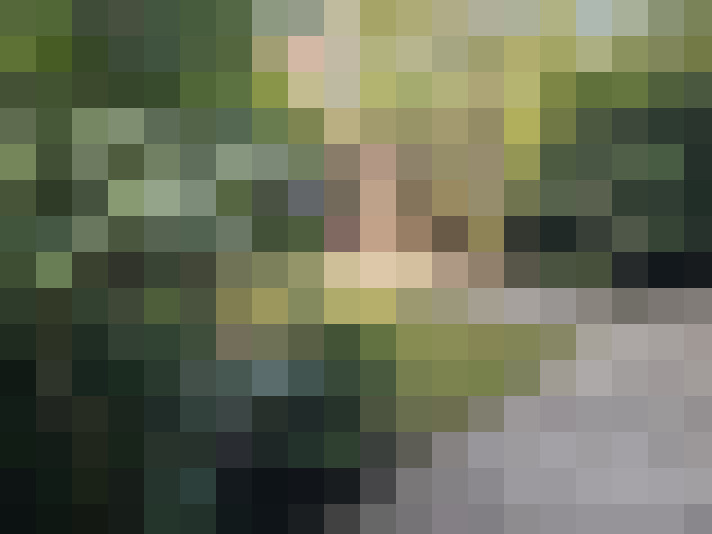 Image 26
