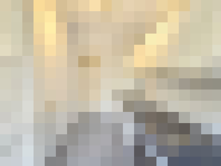 Image 13