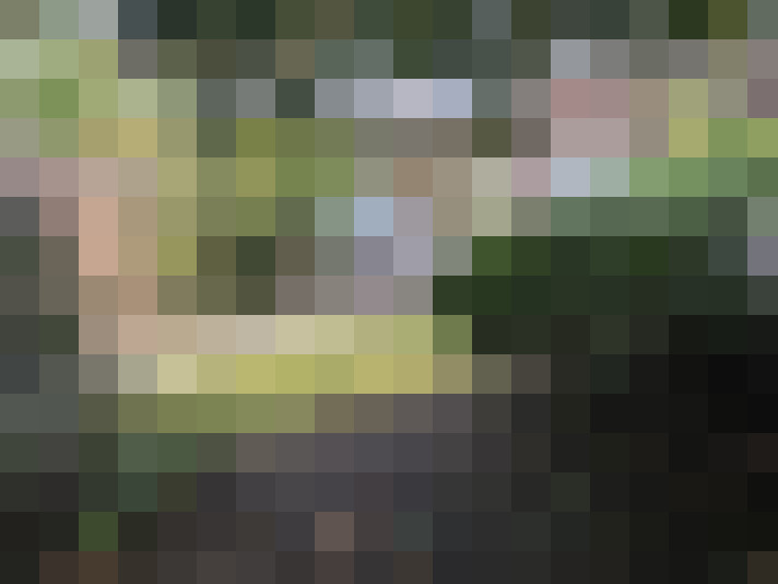 Image 27