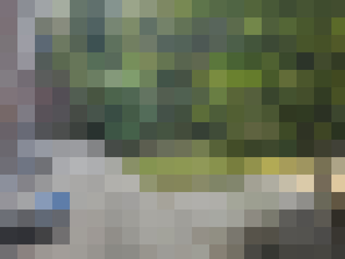 Image 25