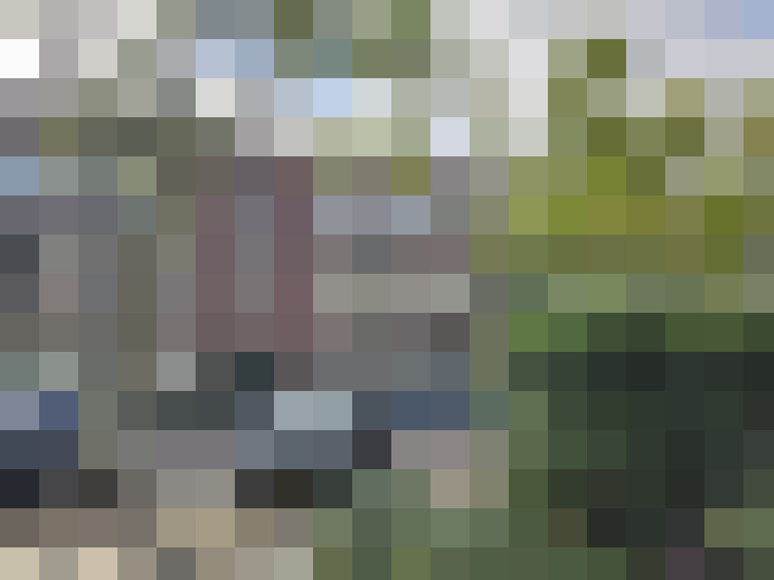 Image 28