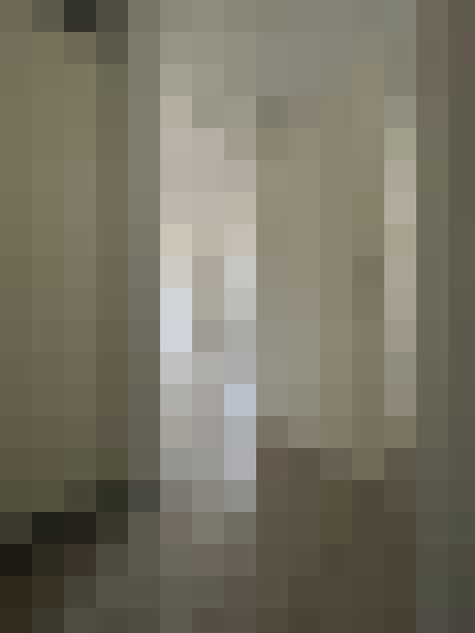 Image 17