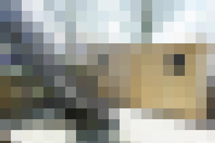 Image 22