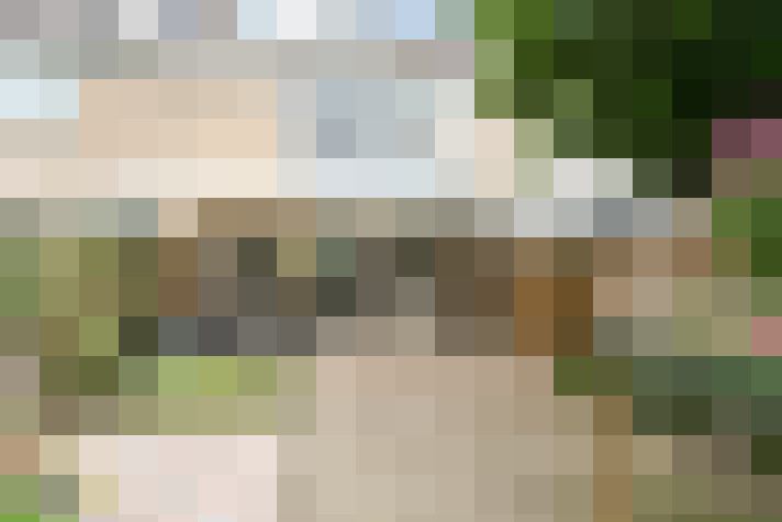 Image 22
