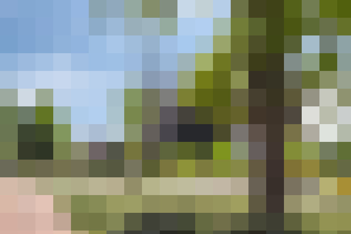 Image 28