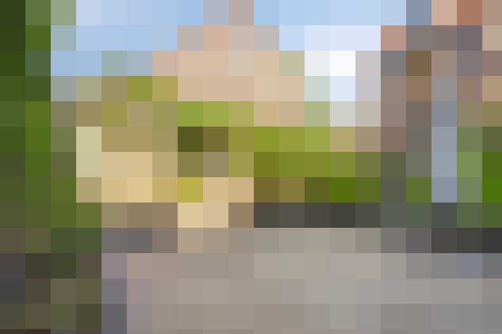 Image 26