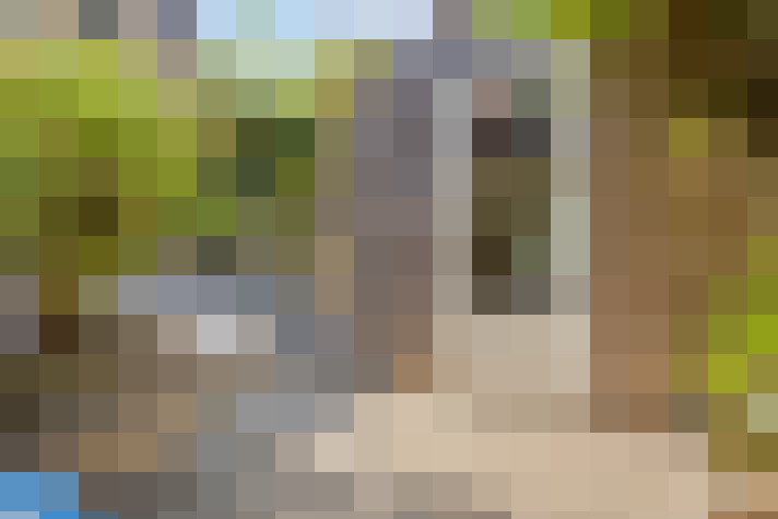 Image 27