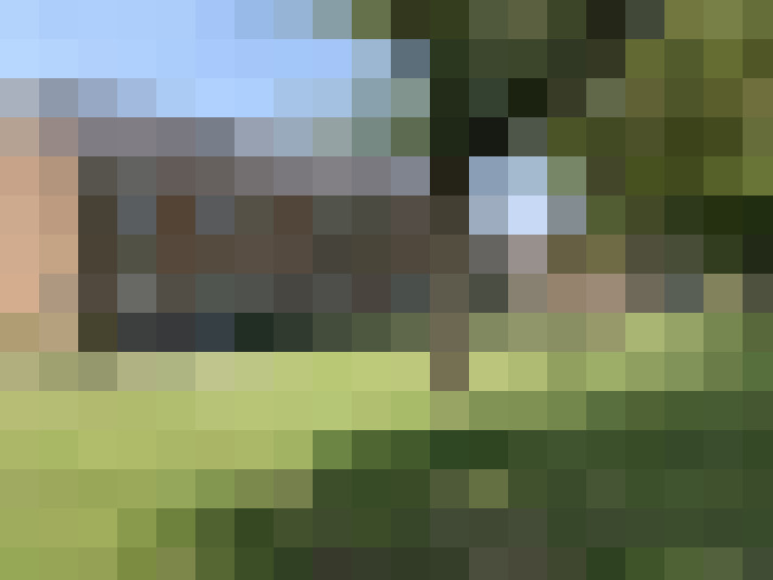 Image 20