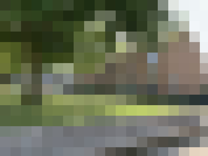 Image 25