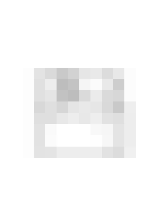 Image 13