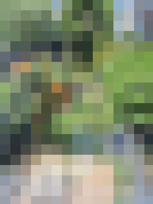 Image 23