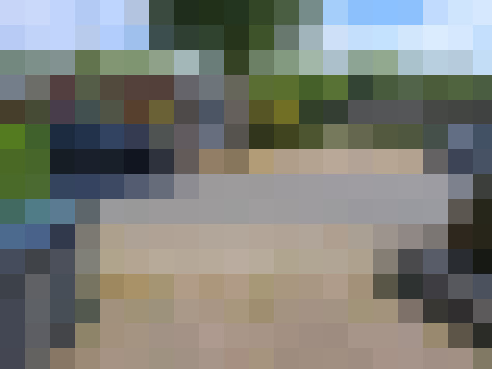 Image 25