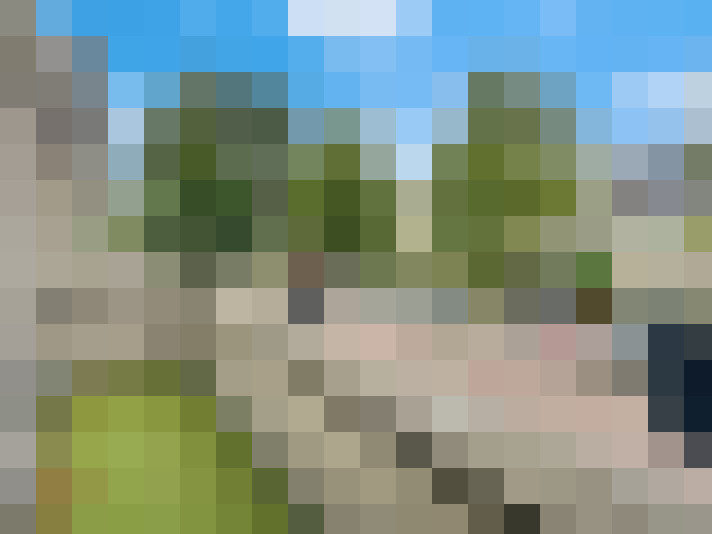Image 23