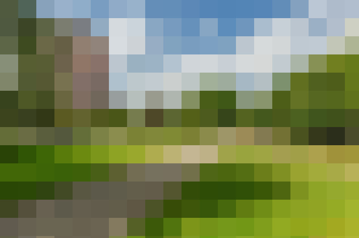 Image 33