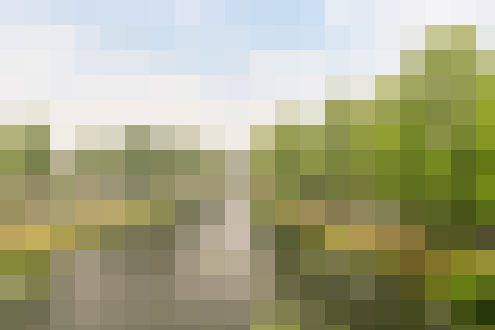Image 20