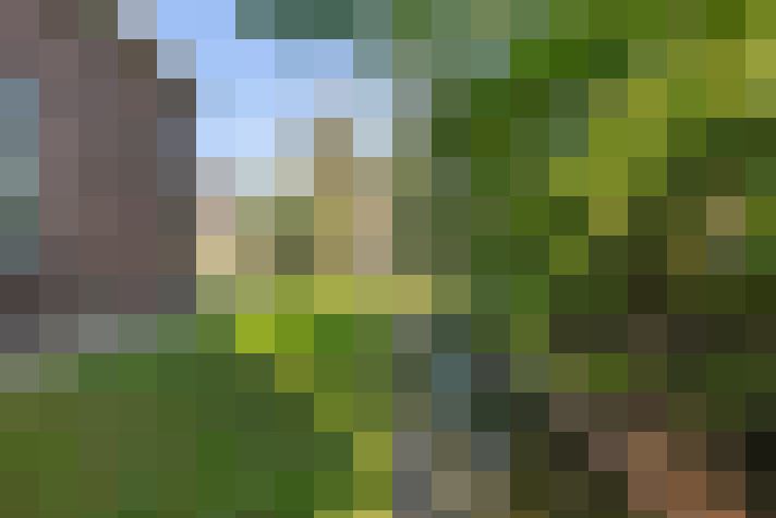 Image 23