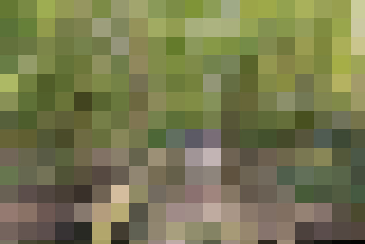 Image 20